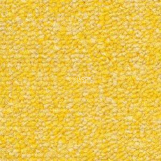 Radici Trotter Canarino 2002 фото 1 | FLOORDEALER